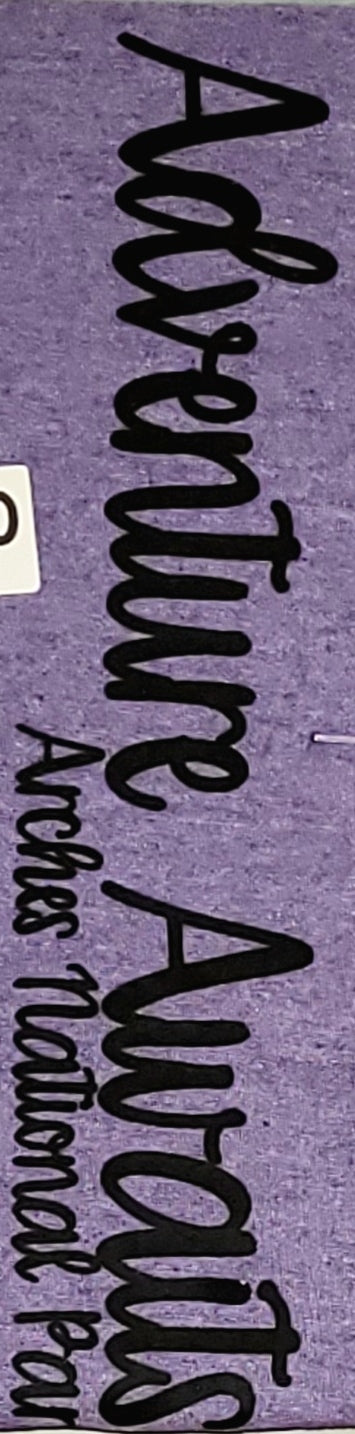 #150 Adventure Awaits Sleeve - ANP