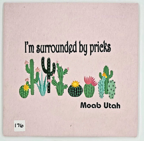 #176 I'm Surrounded by Pricks