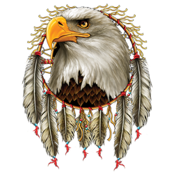 #017 Eagle Dreamcatcher