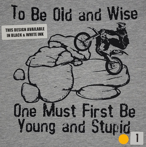 #001 Old & Wise - Dirt Bike