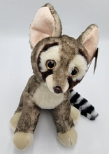Ringtail Cat 12"