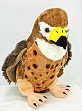 Wild Onez Red Tailed Hawk 12"