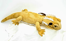 Wild Onez Bearded Dragon 24"
