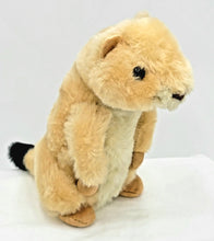 Wild Onez Prairie Dog 8"