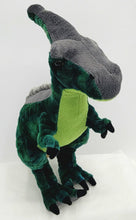 Parasalauphus 14"