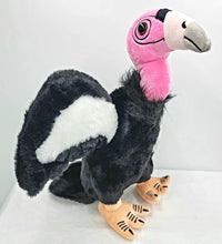 California Condor 12"