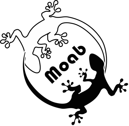 #215 Yin / Yan Gecko