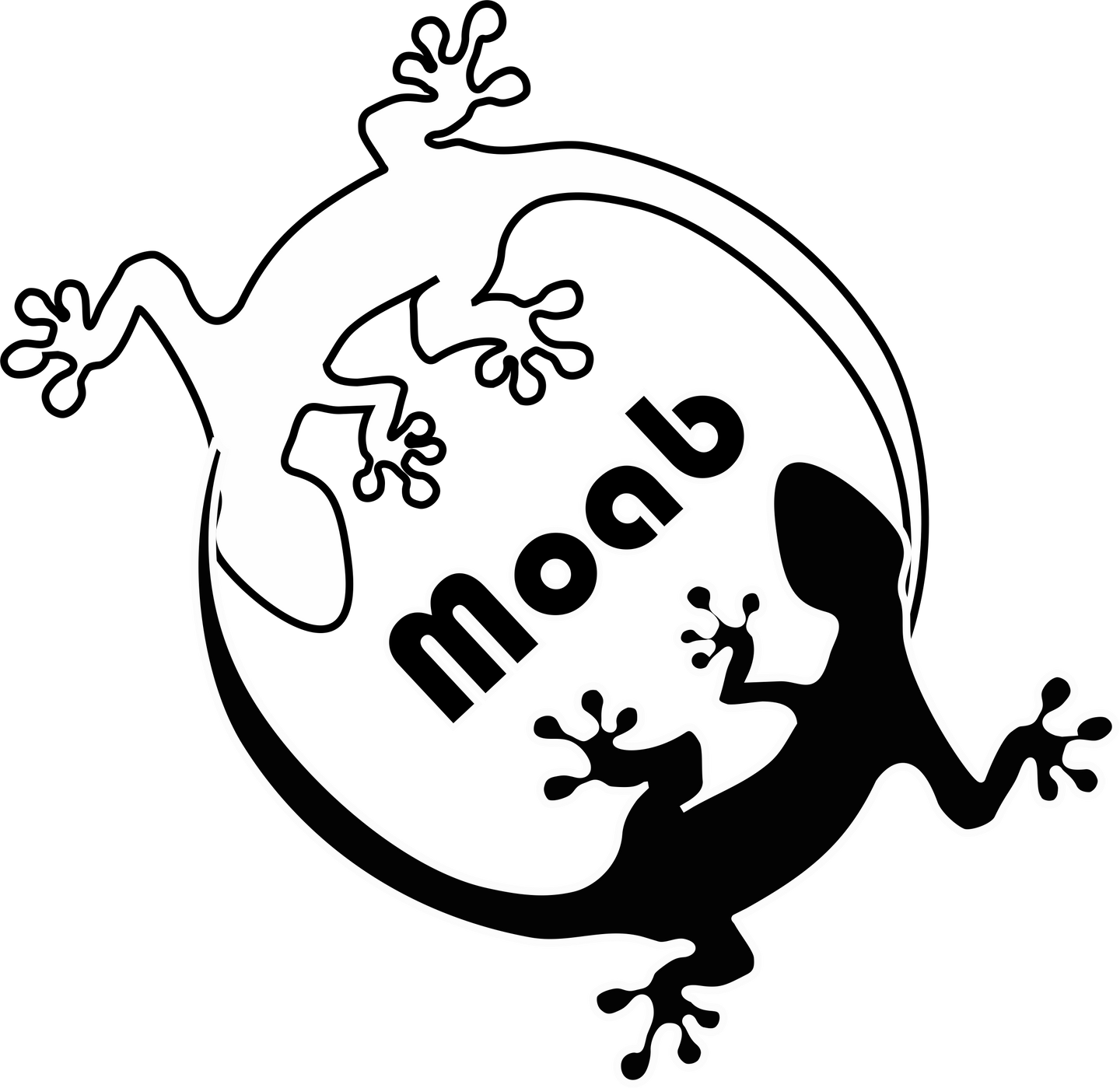 #215 Yin / Yan Gecko