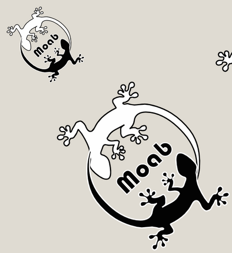 #215 Yin / Yan Gecko Pocket