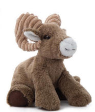 Wild Onez Big Horn Sheep 8"