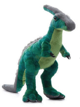 Parasalauphus 14"