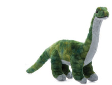 Brachiosaurus 14"