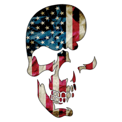 #076 Skull Americana