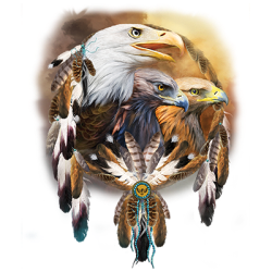#082 Three Eagles