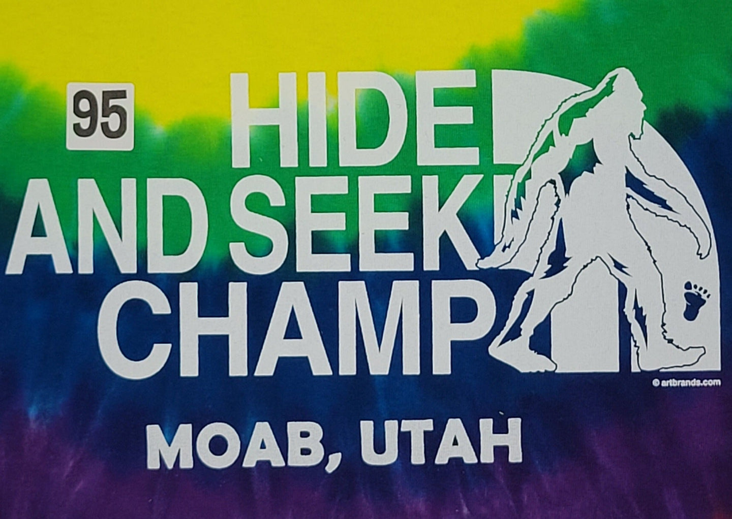 #095 Hide and Seek Champ