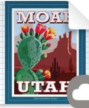 Cactus Flowers Magnet