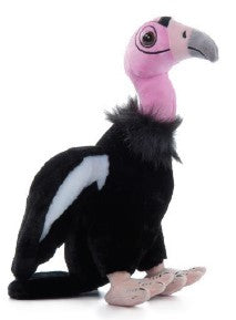 California Condor 12