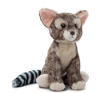 Ringtail Cat 12"