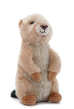 Wild Onez Prairie Dog 8"