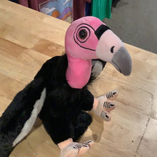 California Condor 12"